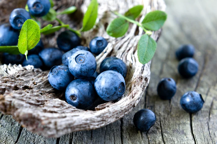 I mirtilli possono tenere a bada i capelli bianchi / foto: Shutterstock