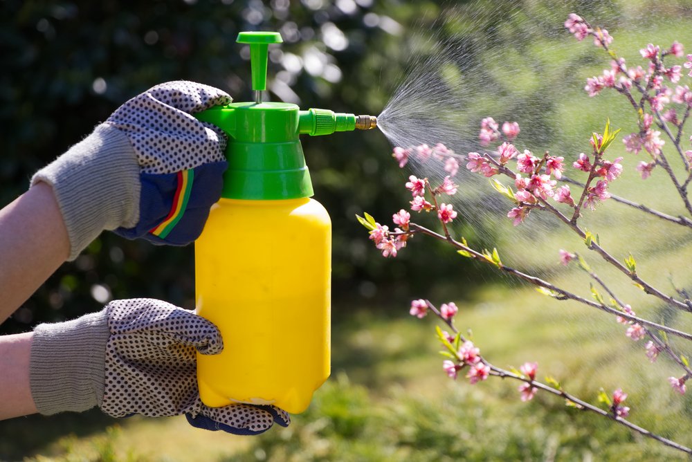 12 degli errori di giardinaggio più comuni e come evitarli