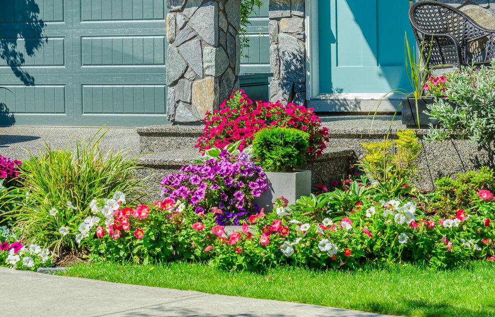 12 degli errori di giardinaggio più comuni e come evitarli