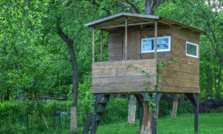 Come costruire una casa sull'albero per bambini: piani, materiali, strumenti e precauzioni di sicurezza