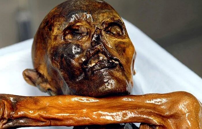 Cosa è stato trovato nello stomaco di Ötzi, l'Uomo venuto dal ghiaccio. Incredibile cosa mangiavano le persone 5.000 anni fa