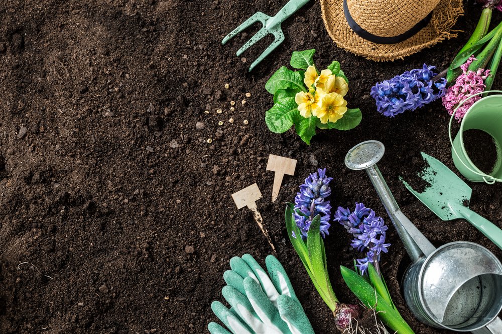 Quali fiori primaverili puoi piantare nel tuo giardino per avere più colore possibile