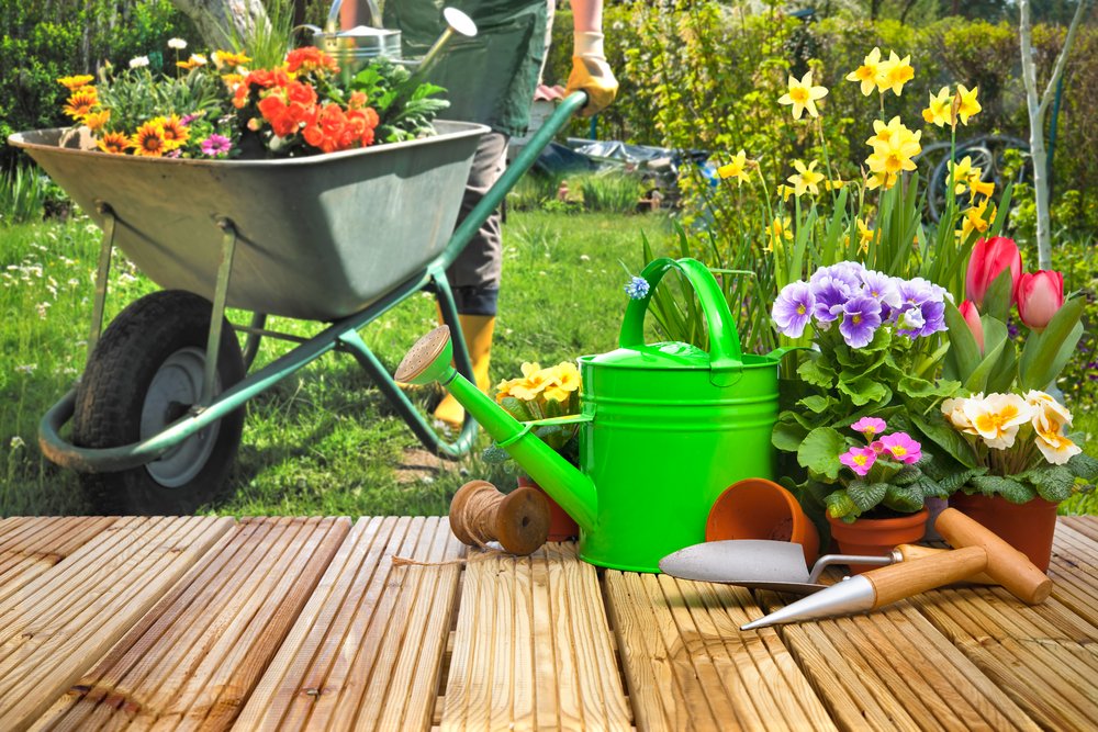 Quali fiori primaverili puoi piantare nel tuo giardino per avere più colore possibile