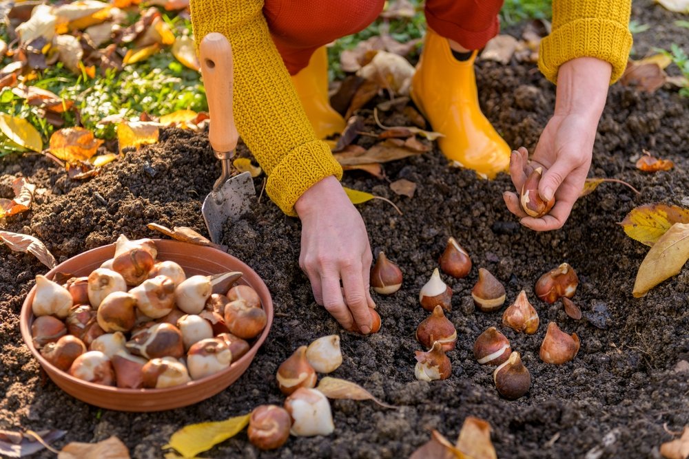 8 attività di giardinaggio autunnali che semplificano la vita primaverile