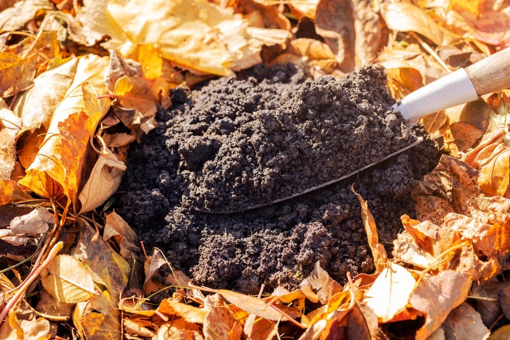 compost da giardinaggio autunnale