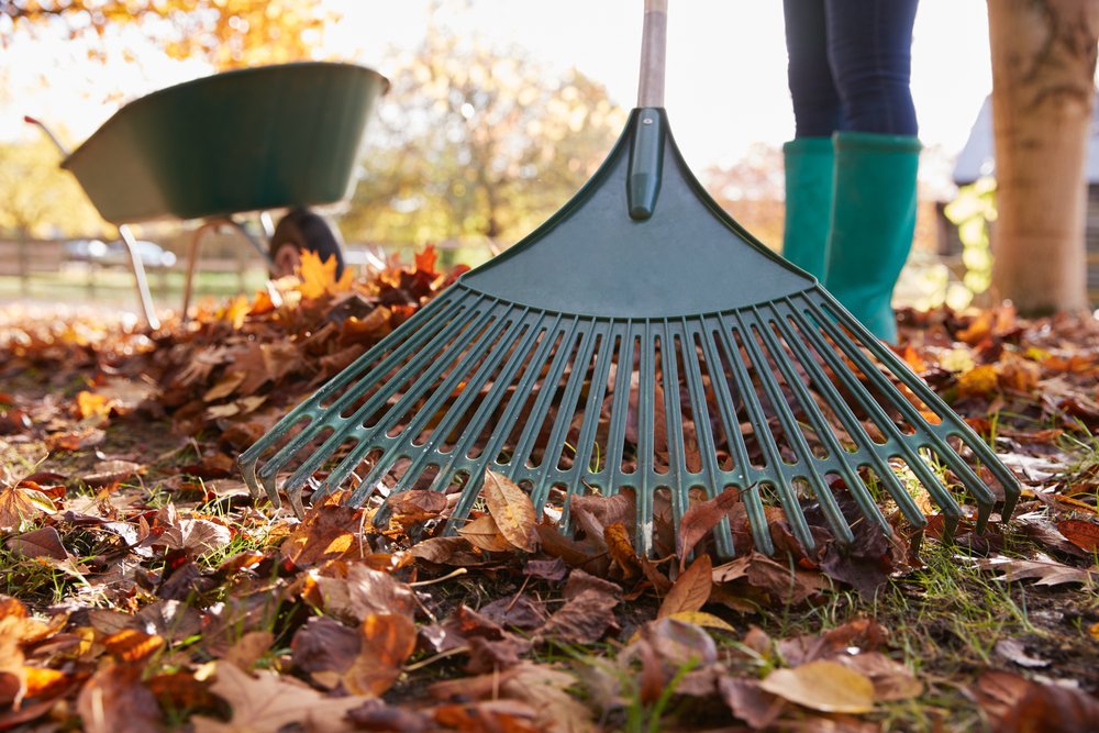 8 attività di giardinaggio autunnali che semplificano la vita primaverile