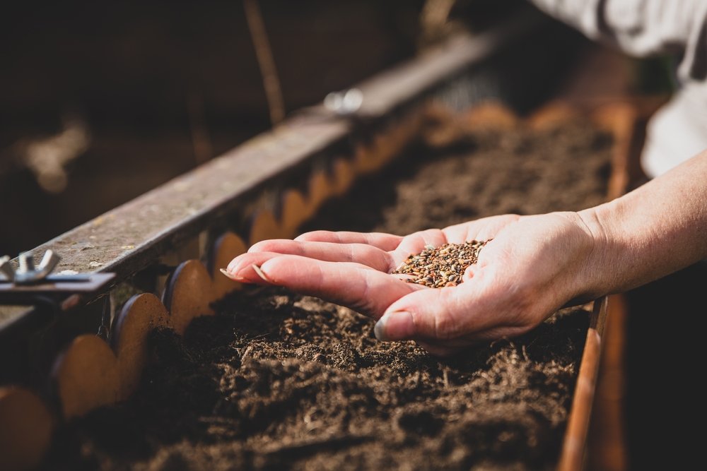 8 attività di giardinaggio autunnali che semplificano la vita primaverile