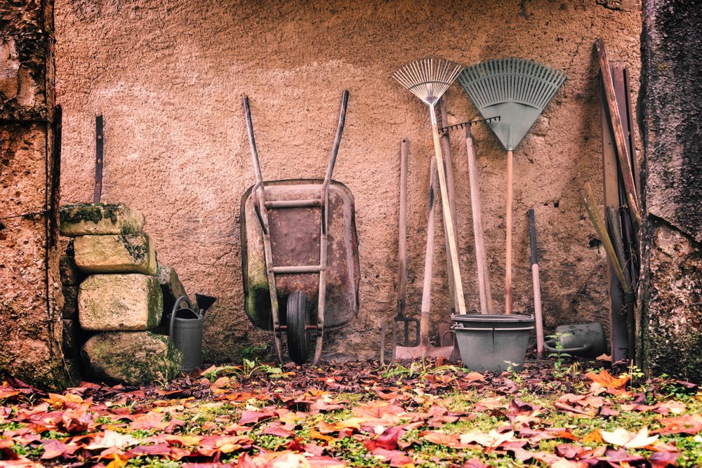 attrezzi da giardinaggio autunnali