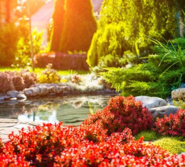 Laghetti da giardino: 15 idee per ispirarsi e creare un angolo zen tutto per sé