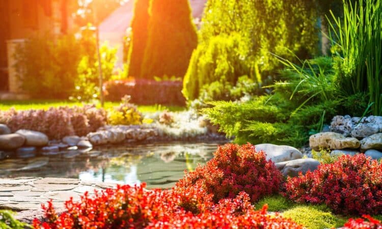 Laghetti da giardino: 15 idee per ispirarsi e creare un angolo zen tutto per sé