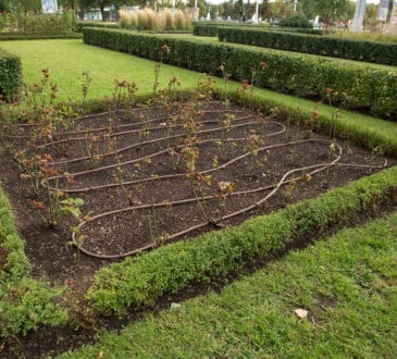 Le cose a cui probabilmente non pensi, ma di cui il tuo giardino ha bisogno