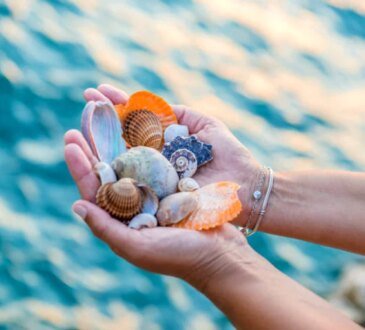 L'oggetto che non dovremmo avere in casa. Ci porta sfortuna e solitudine