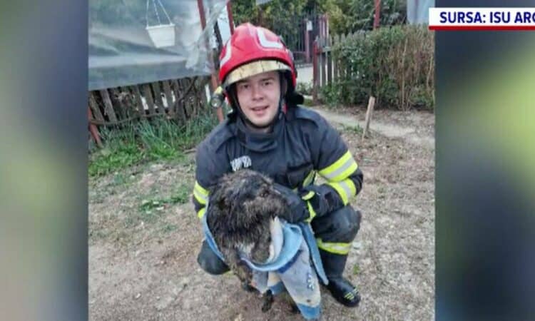 Momenti spaventosi per Bela. Il cucciolo cadde in un pozzo, ma miracolosamente sopravvisse. Il dettaglio che gli ha salvato la vita