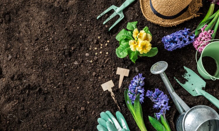 Quali fiori primaverili puoi piantare nel tuo giardino per avere più colore possibile