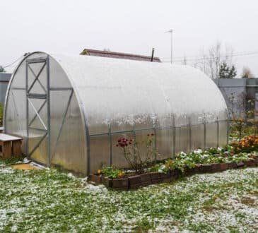 Riscaldamento solare del giardino in inverno: come fare, quali soluzioni avete e come proteggere le colture