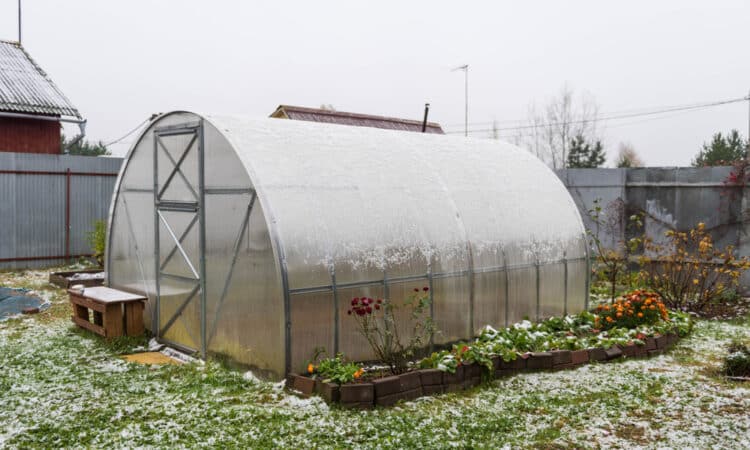 Riscaldamento solare del giardino in inverno: come fare, quali soluzioni avete e come proteggere le colture