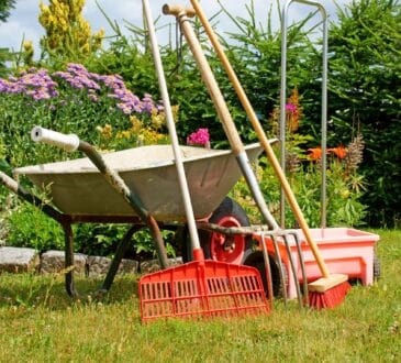 Shopping: 10 strumenti da giardinaggio per giardinieri esperti