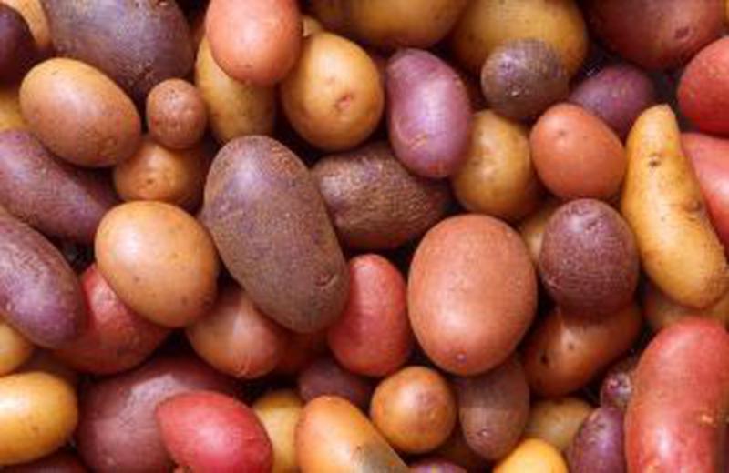 patate al forno: puoi usare tutte le patate che desideri