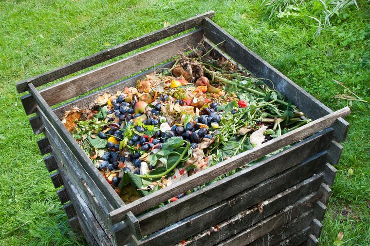 Cos’è il compost e come realizzarlo in casa