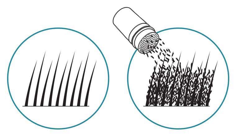 (P) Polvere per diradamento capelli, il prodotto che maschera istantaneamente la caduta dei capelli.