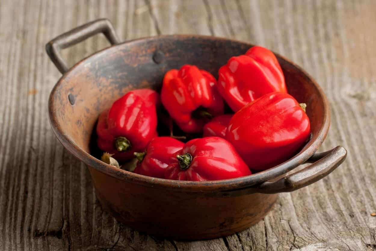 Come preparare la salsa fresca dal tuo giardino