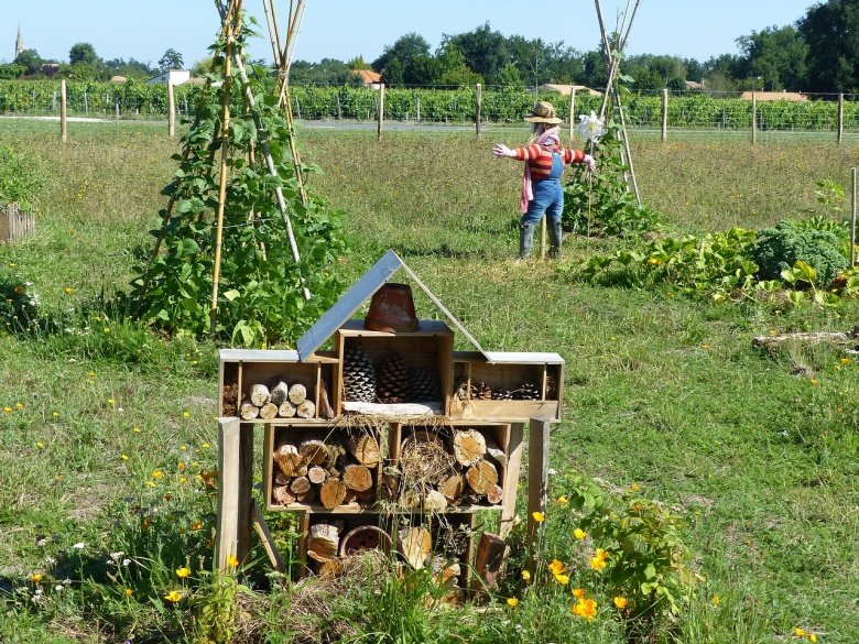 Prepara un HOTEL PER GLI INSETTI nel tuo giardino. Ti piacerà con il suo aspetto e allo stesso tempo ti ricompenserà in due modi