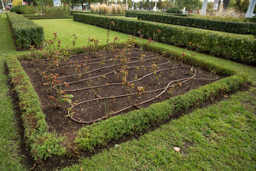 idee pratiche per il giardino