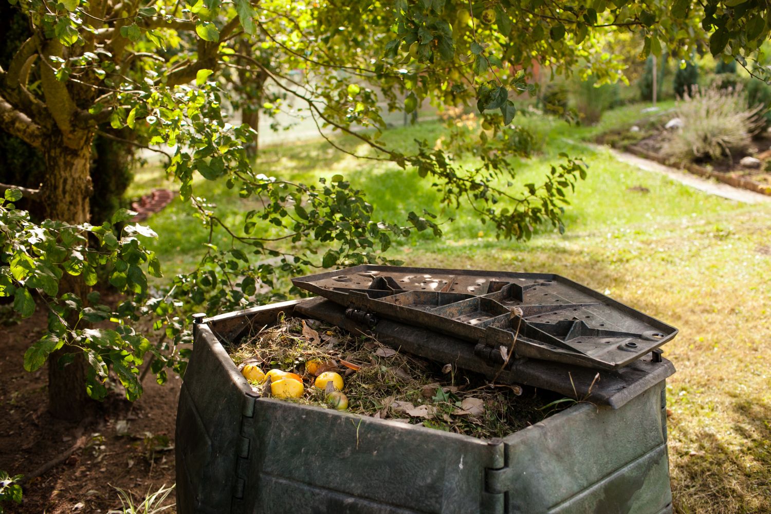 fertilizzante compost