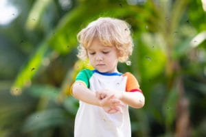 Repellenti naturali, procedimenti per realizzarli in casa