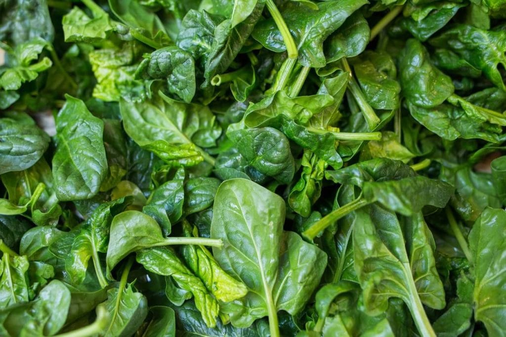 Come conservare gli spinaci per avere vitamine anche in inverno