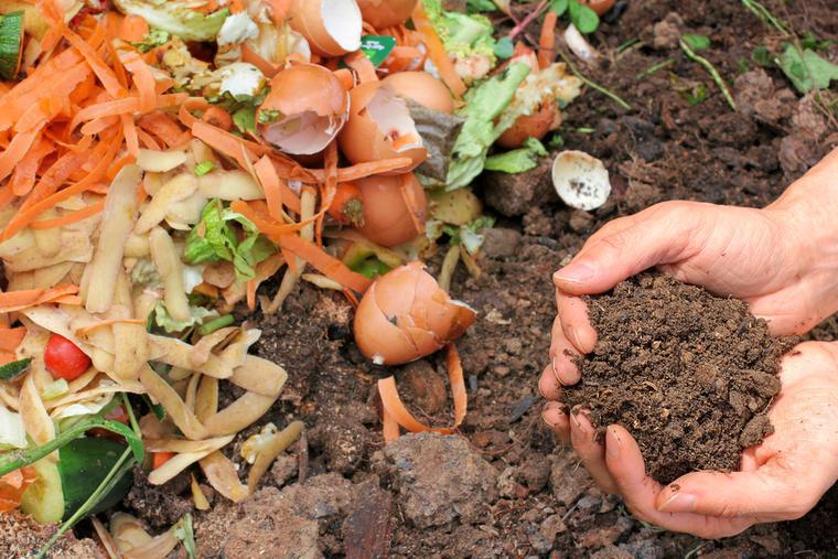 Cos’è il compost e come realizzarlo in casa