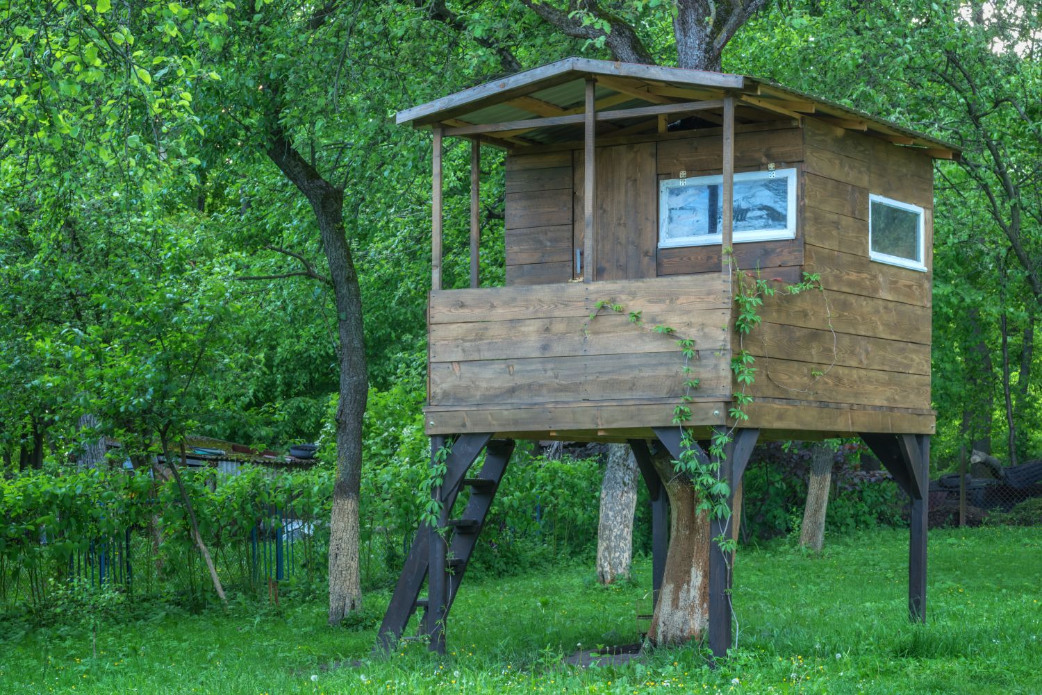 la sicurezza della casa sull'albero