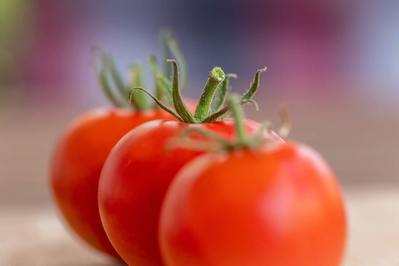 FARE I POMODORI IN CASA