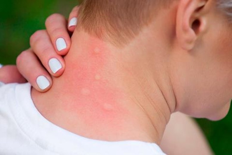 È in grado di attrarre SUCCESSO, RICCHEZZA e PROSPERITÀ! Tuttavia, solo poche persone sanno QUESTO sulle piante grasse!