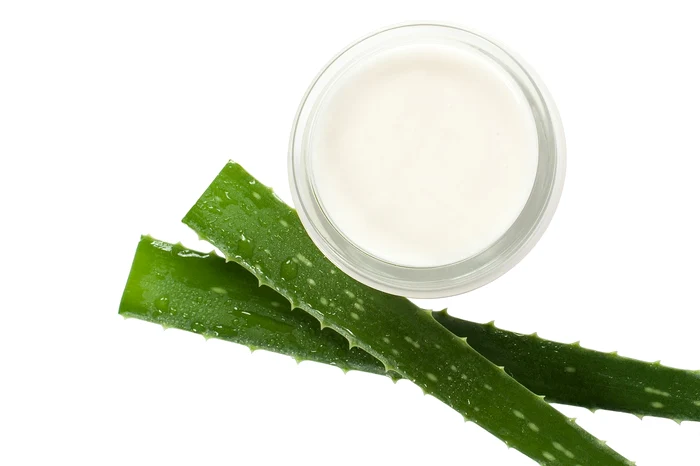 L'aloe vera ripara la pelle danneggiata. Foto: fare clic.