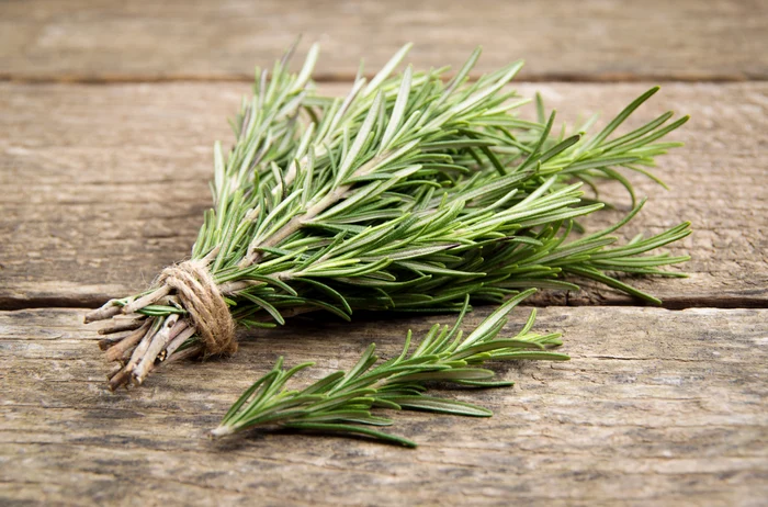 Rosmarino, ingrediente chiave per purificare e stimolare la crescita dei capelli. Foto: fare clic.