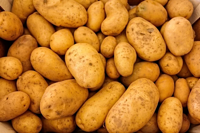 Le patate vengono piantate solo intorno a due piante / foto: Pixabay