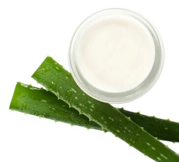 Come ottenere una pelle di porcellana utilizzando l'aloe vera in tempi record. Questa pianta ripara la pelle danneggiata, elimina le rughe e i segni dell'invecchiamento precoce