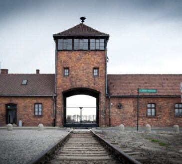 Cosa mangiavano i prigionieri di Auschwitz? Ricevevano tre pasti al giorno