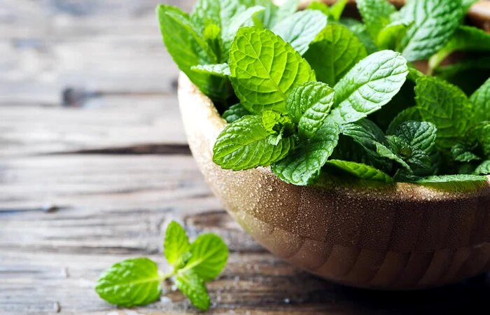 Il trucco del giardinaggio per far sì che una pianta di menta abbia foglie fresche tutto l'anno