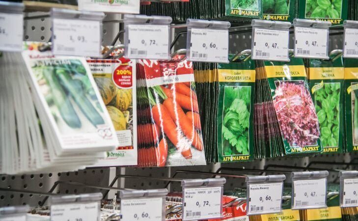 Questi fiori vanno seminati come piantine già a gennaio: in primavera non ne avrete mai abbastanza dell'aiuola