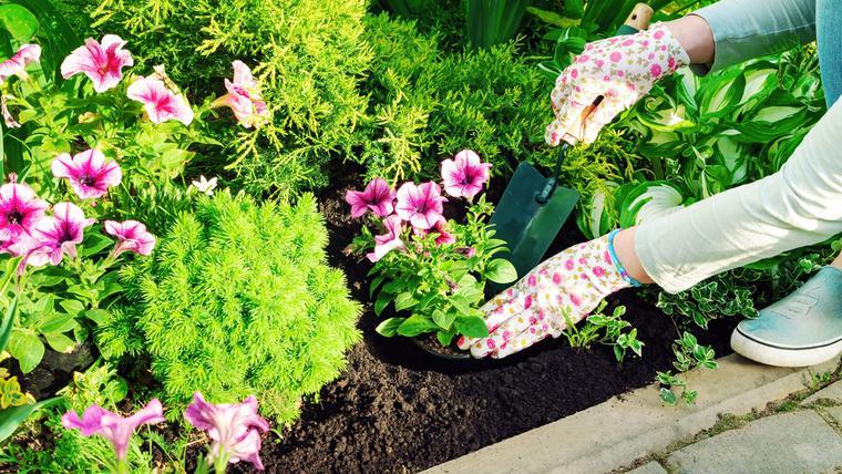 Come prendersi cura del giardino in primavera. Calendario dei lavori