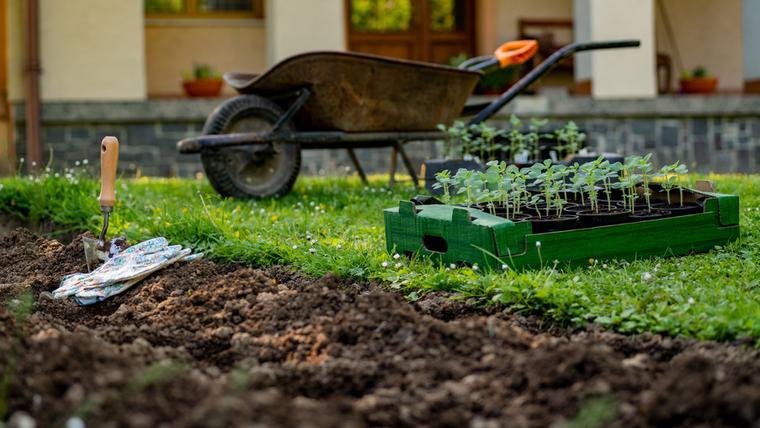 Come prendersi cura del giardino in primavera. Calendario dei lavori