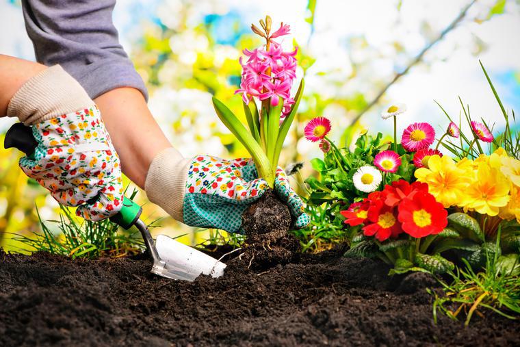 Come prendersi cura del giardino in primavera. Calendario dei lavori