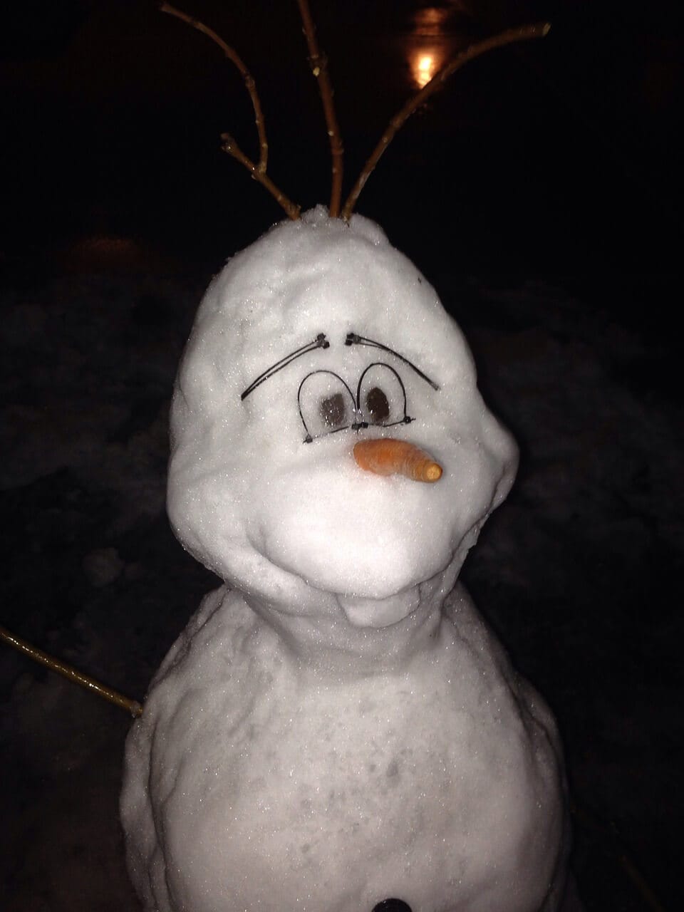 che tipo di pupazzo di neve costruire in giardino