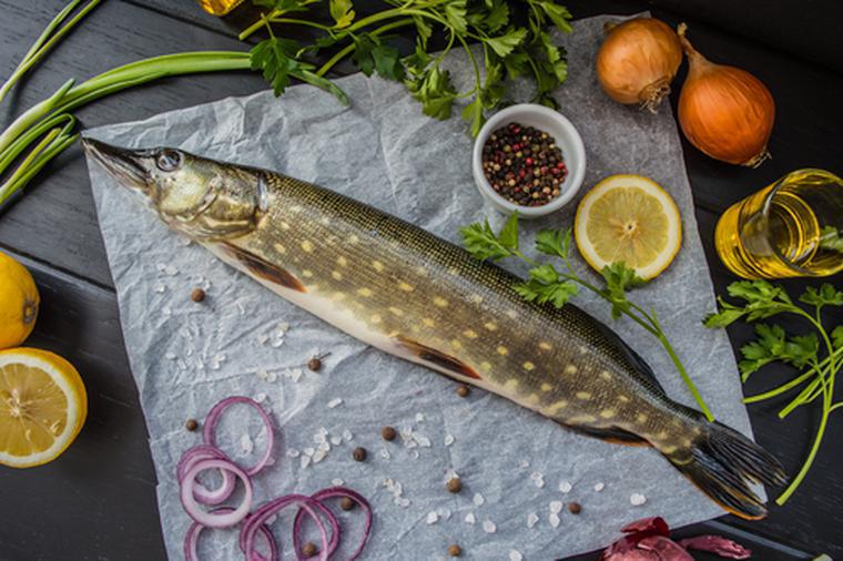 Specie ittiche destinate al consumo. Quale pesce è più sano!