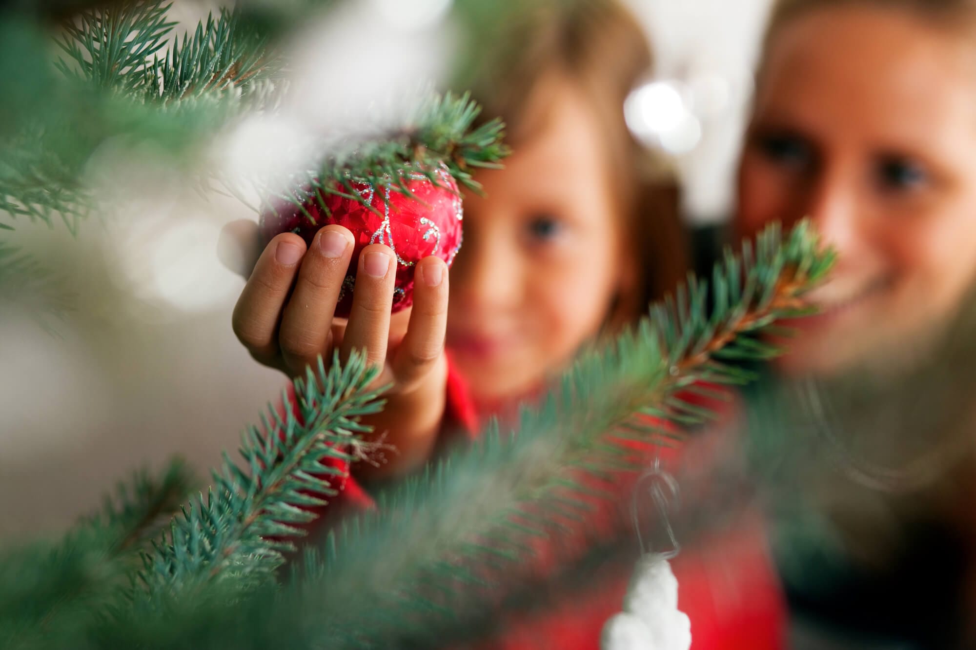 Un albero di Natale ideale