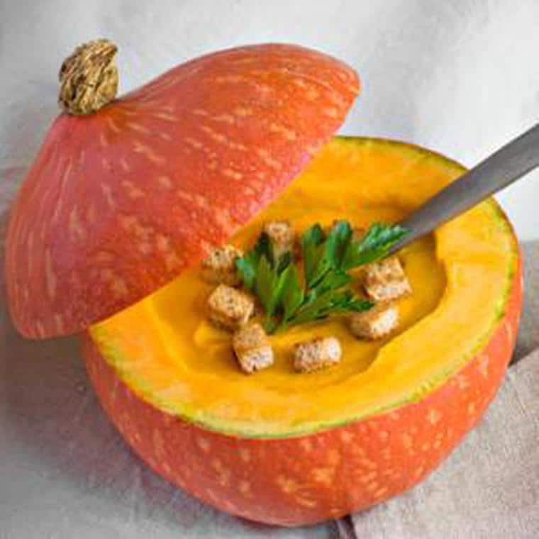 Zucca, il dolce sapore dell'autunno. Vantaggi e proprietà